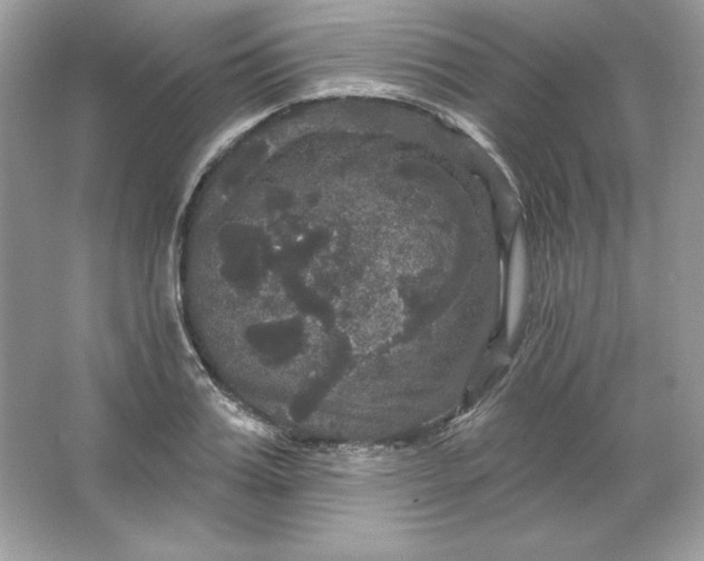 X0000066010987200603171501