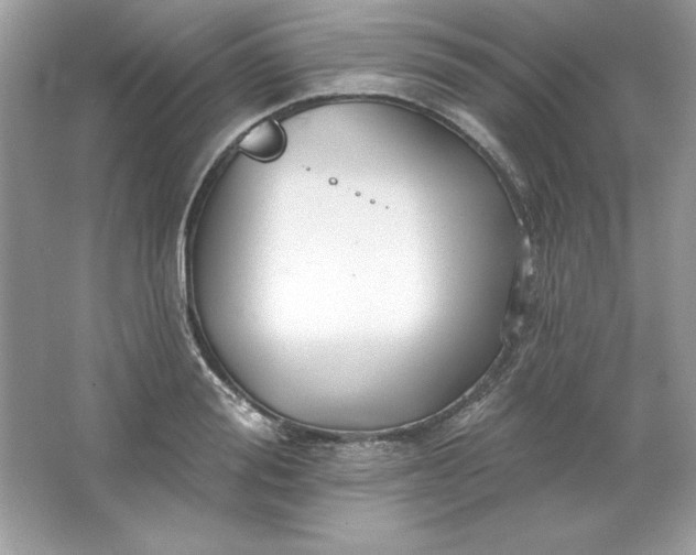 X0000066010988200603171501