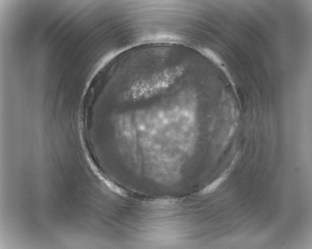 X0000066010989200603171501