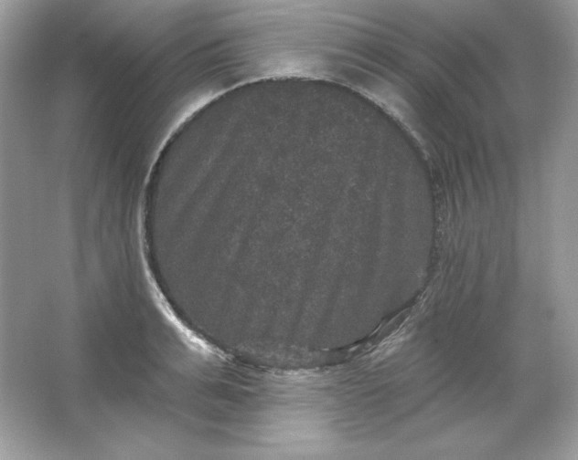 X0000066010991200603171501