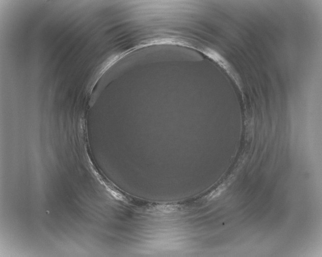 X0000066010993200603171501