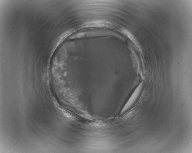 X0000066010994200603171501