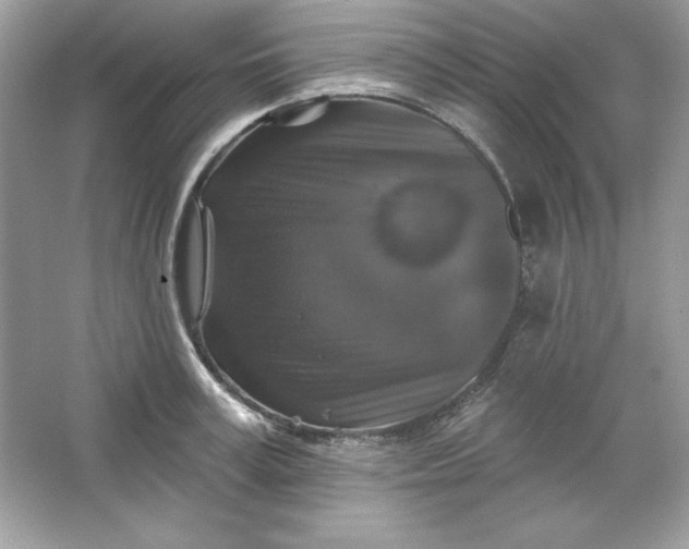 X0000066010995200603171501