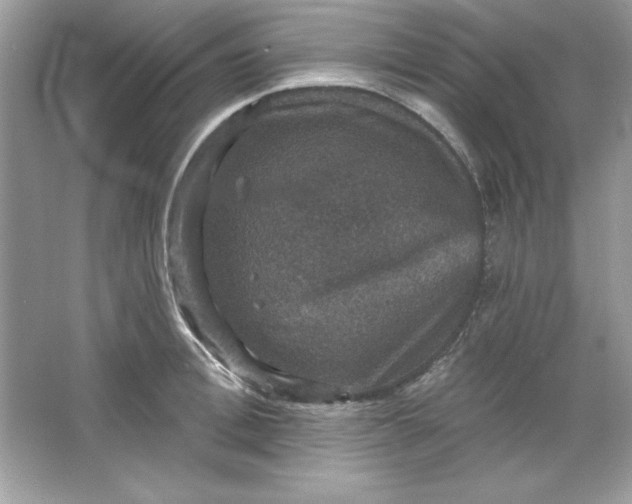 X0000066010996200603171501