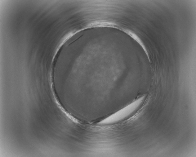 X0000066010997200603171501