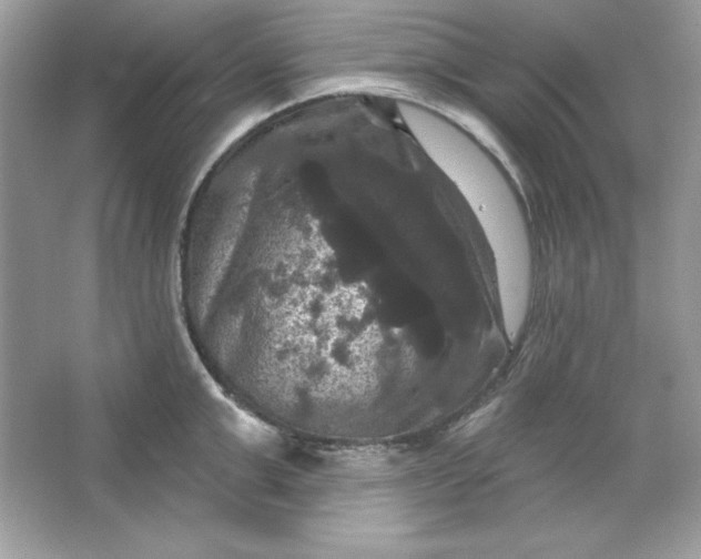 X0000066010999200603171501