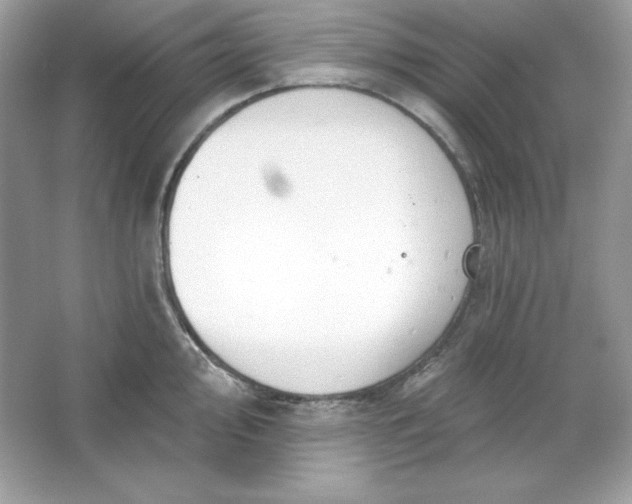 X0000066011000200603171501