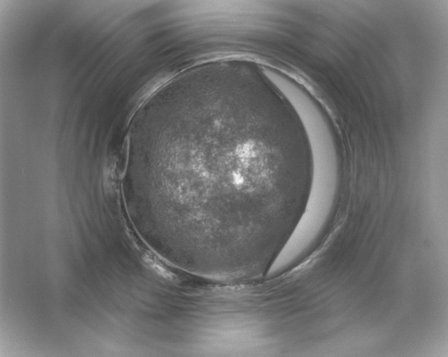 X0000066011001200603171501