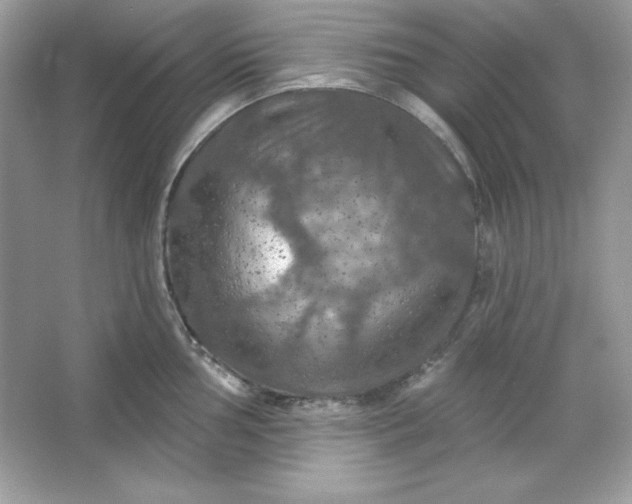 X0000066011002200603171501