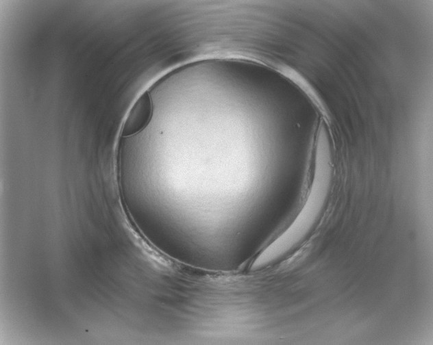 X0000066011004200603171501