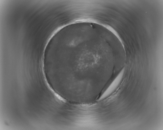 X0000066011005200603171501