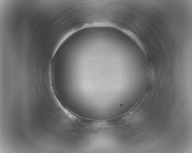 X0000066011006200603171501