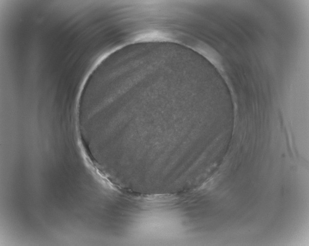 X0000066011008200603171501