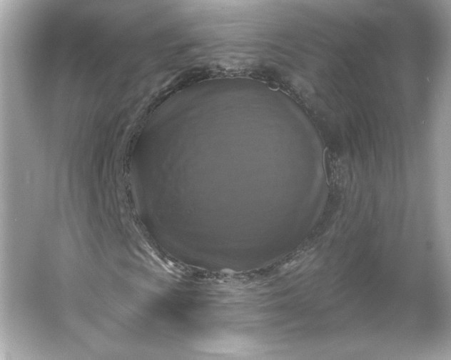 X0000066011009200603171500