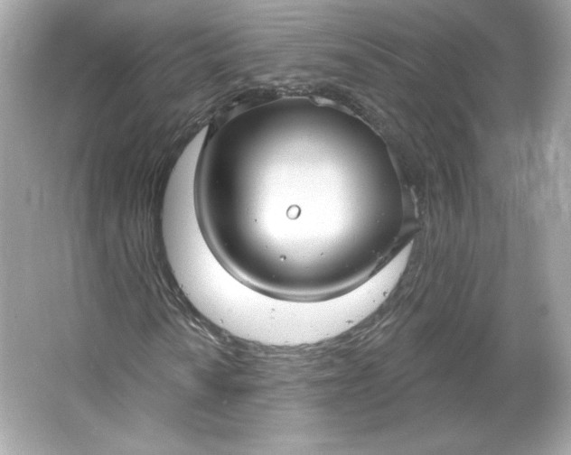 X0000066011010200603171500