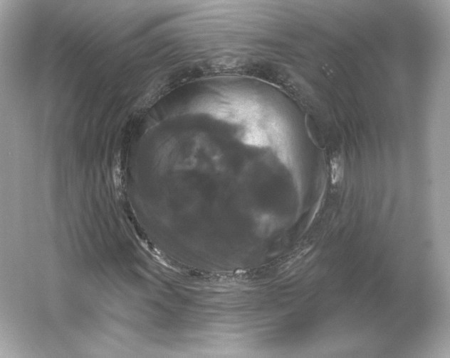 X0000066011011200603171500