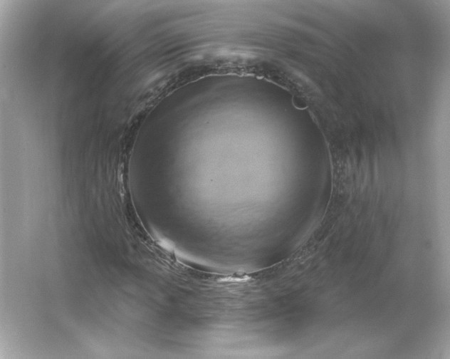 X0000066011013200603171500