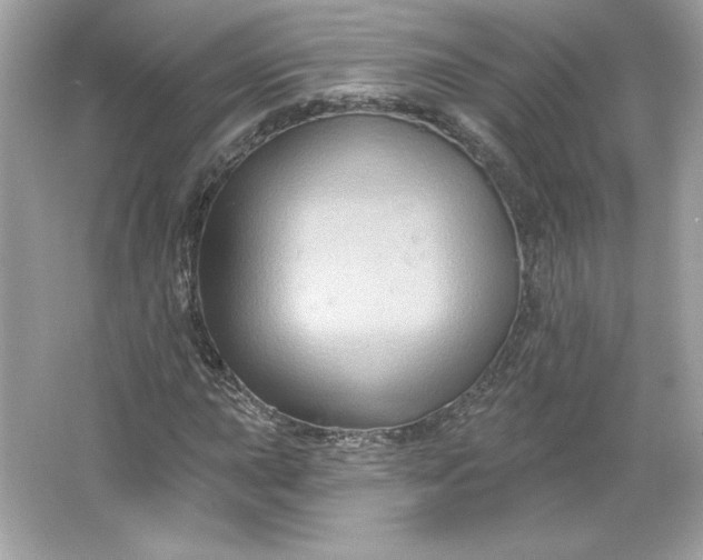 X0000066011015200603171500