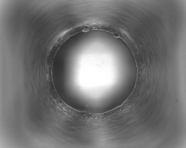 X0000066011016200603171500