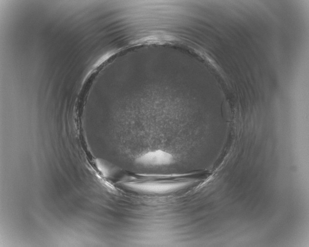 X0000066011018200603171500