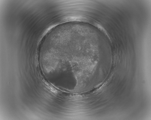 X0000066011019200603171500