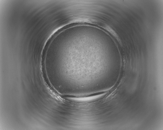 X0000066011020200603171500