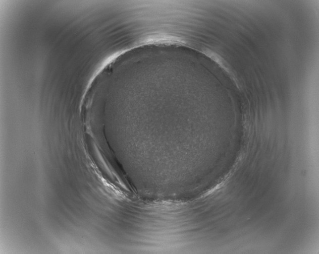 X0000066011022200603171500