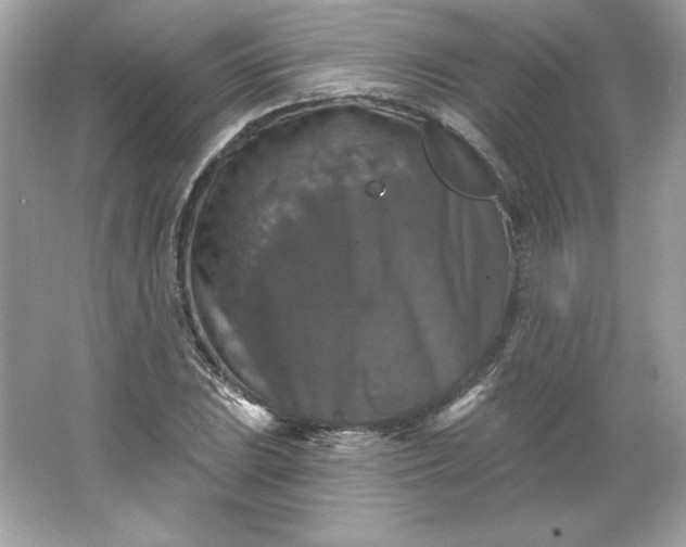 X0000066011023200603171500