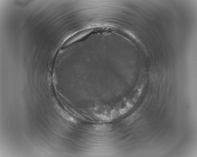 X0000066011025200603171500