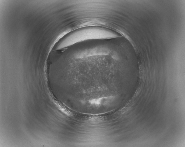 X0000066011026200603171500