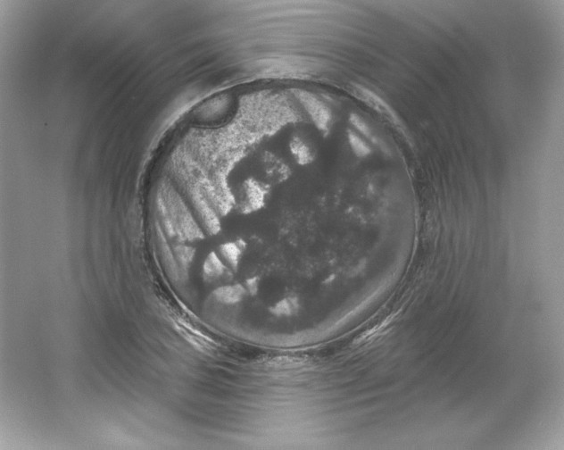 X0000066011027200603171500