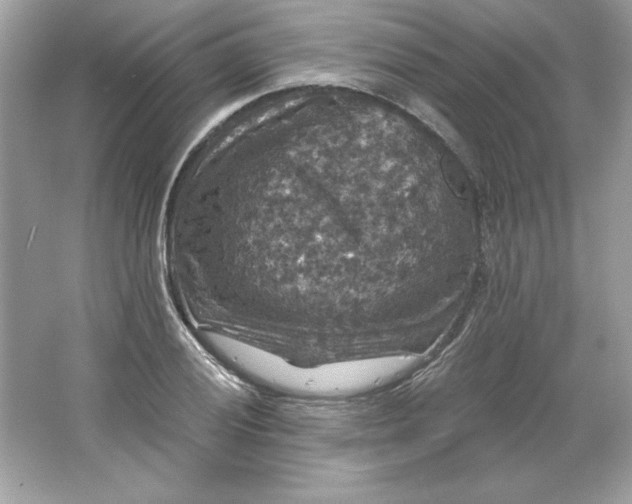 X0000066011028200603171500