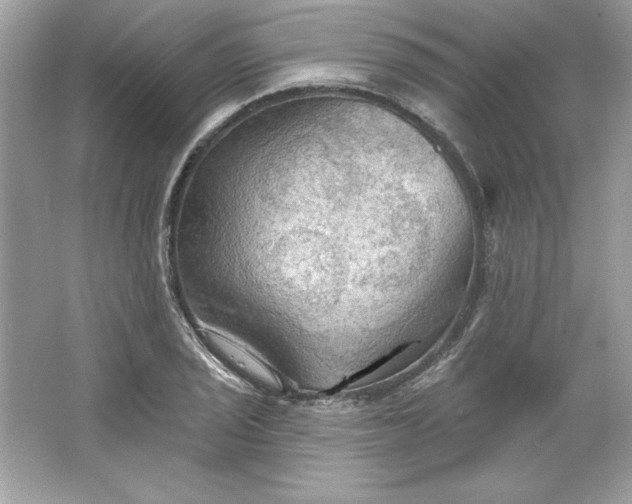 X0000066011029200603171500