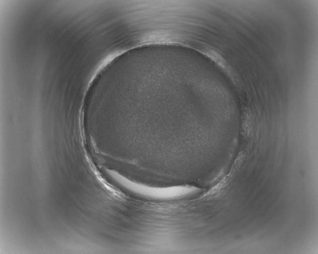 X0000066011030200603171500