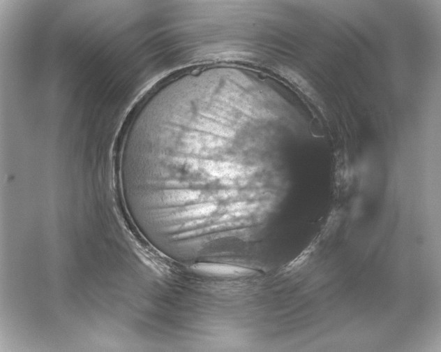 X0000066011031200603171500