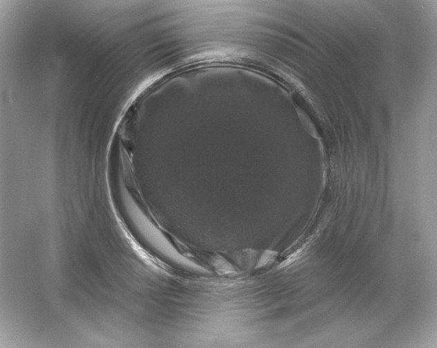 X0000066011034200603171500