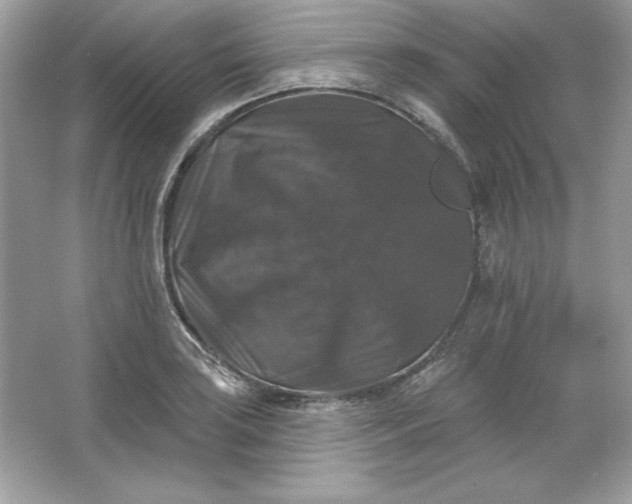 X0000066011035200603171500