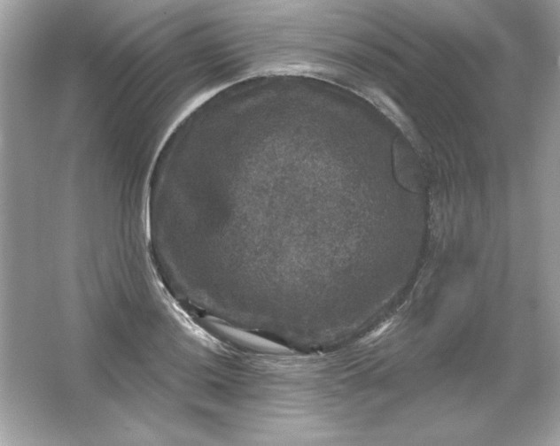 X0000066011036200603171500