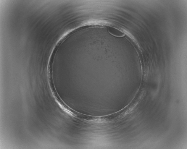 X0000066011037200603171500