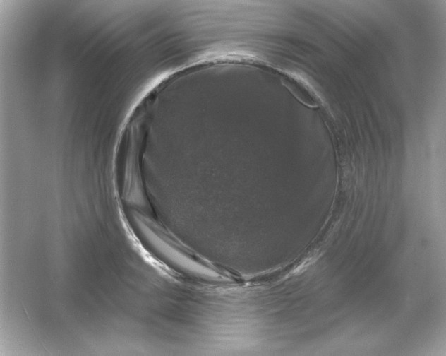 X0000066011038200603171500