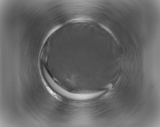 X0000066011042200603171500