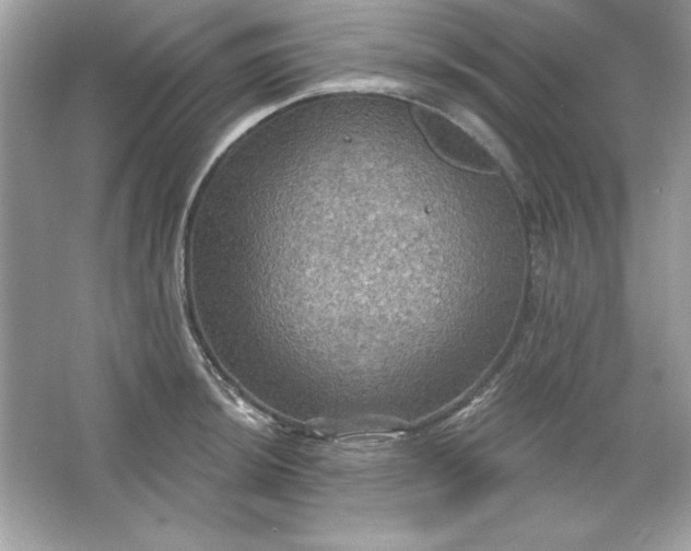 X0000066011044200603171501