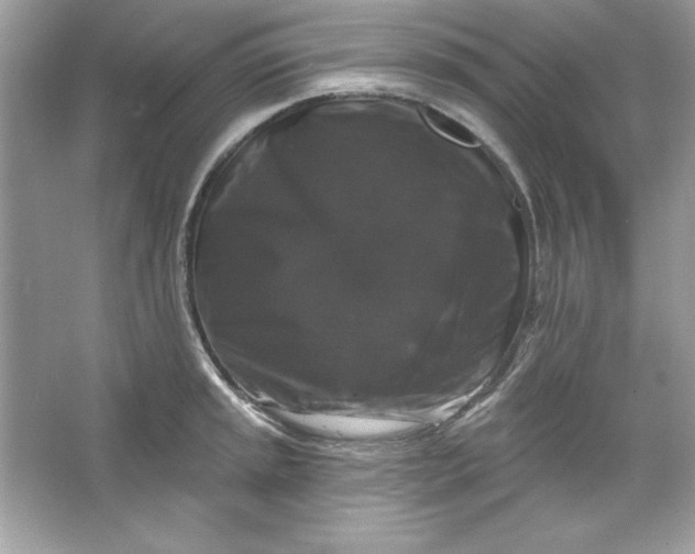 X0000066011045200603171501