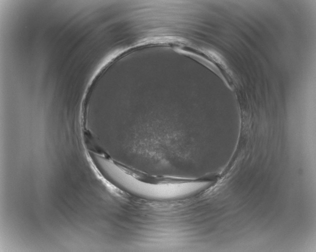 X0000066011046200603171501