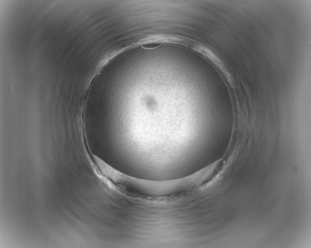 X0000066011049200603171501