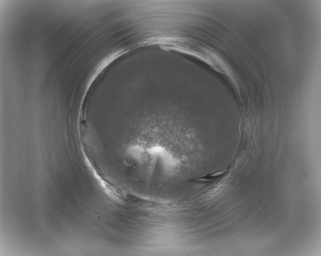 X0000066011050200603171501