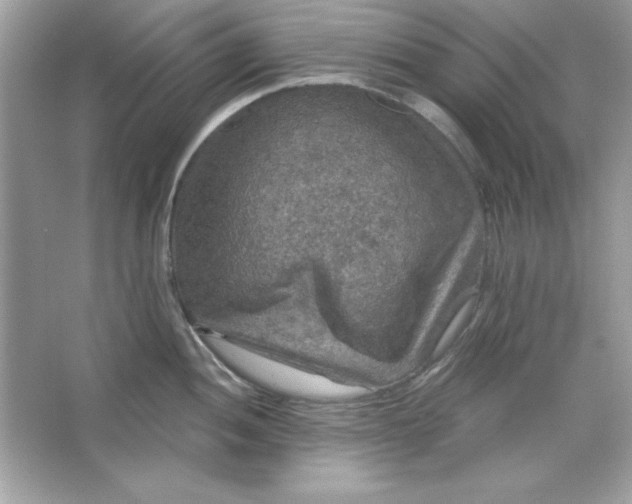 X0000066011052200603171501