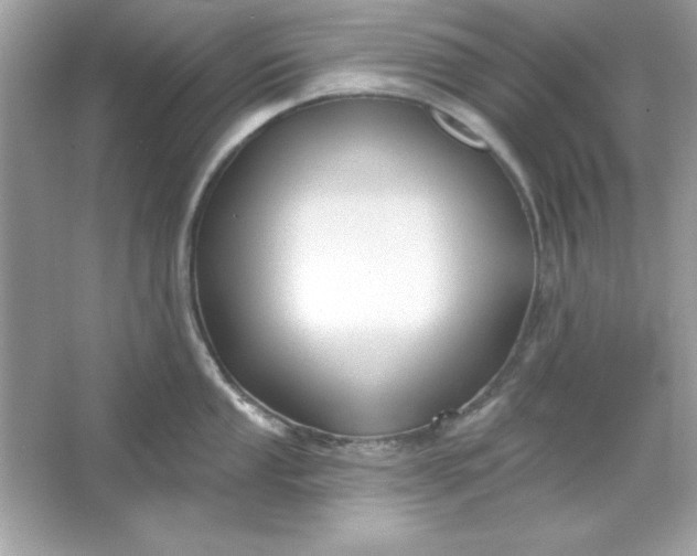 X0000066011053200603171501