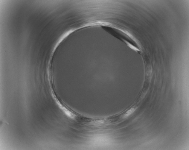 X0000066011054200603171501