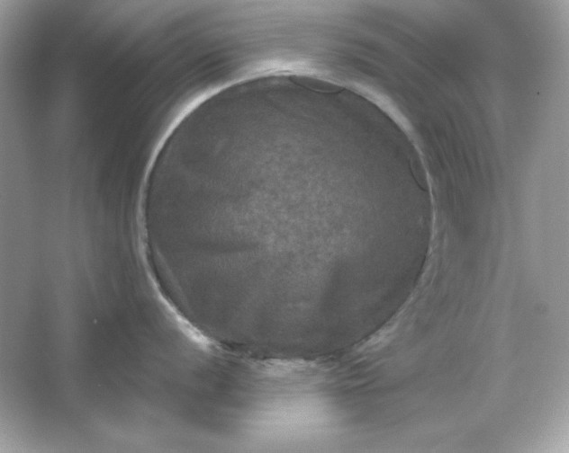 X0000066011056200603171501